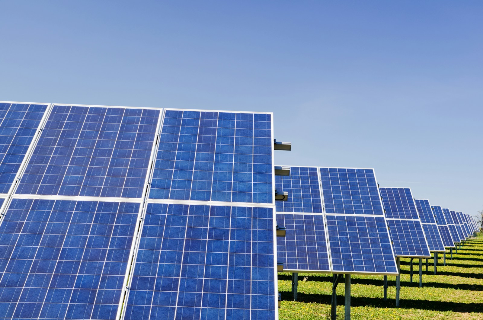 Karriere in grünen Technologien: Der ultimative Bewerbungsguide 2025